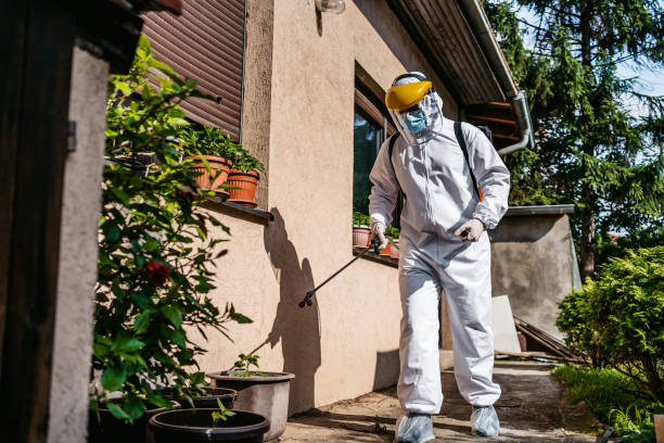 Best Pest Inspection Near Me  in Bayshore, NC