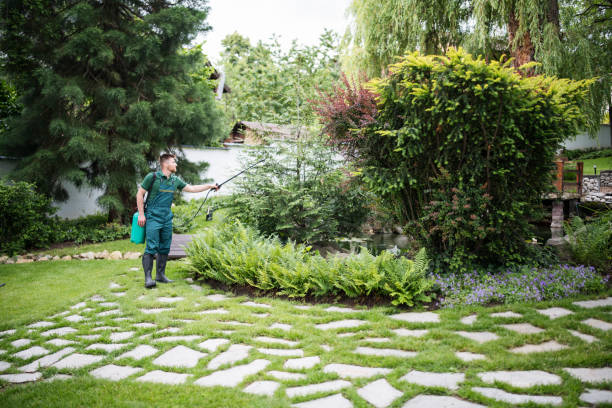 Best Residential Pest Control  in Bayshore, NC