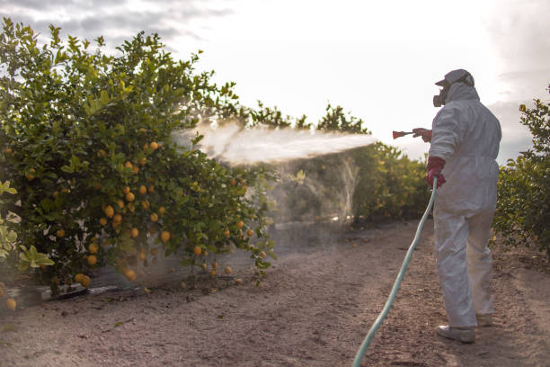 Best Emergency Pest Control  in Bayshore, NC