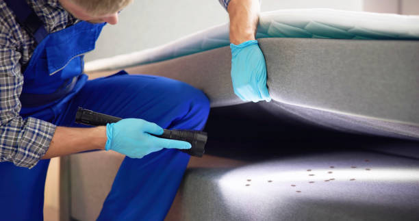 Best Bed Bug Extermination  in Bayshore, NC